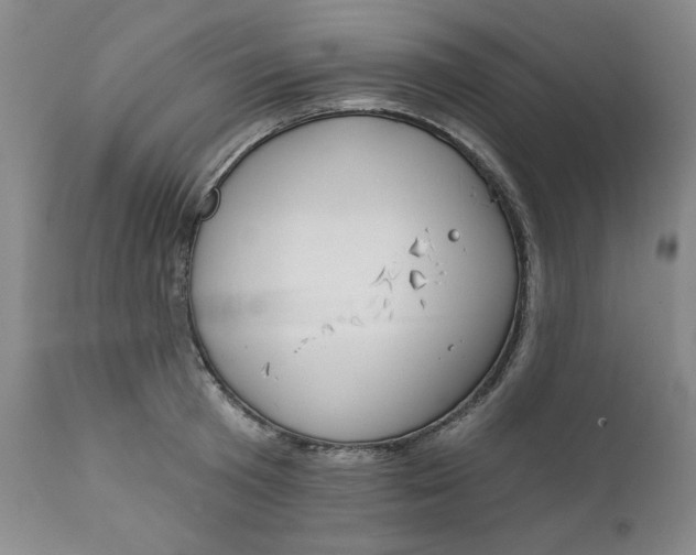 X0000112020801200908241514