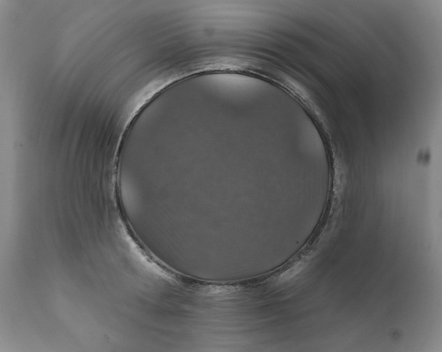 X0000112020802200908241514