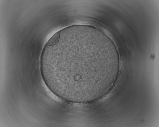 X0000112020803200908241513