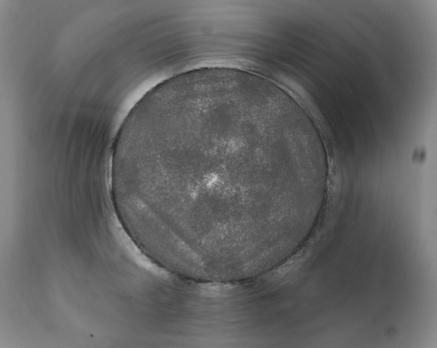 X0000112020804200908241513