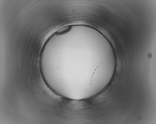 X0000112020805200908241513