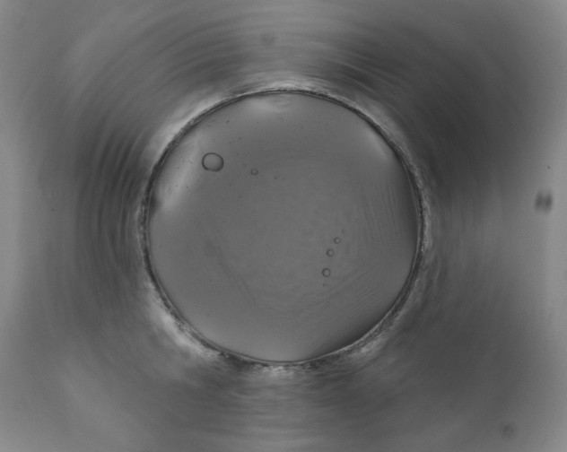 X0000112020806200908241513