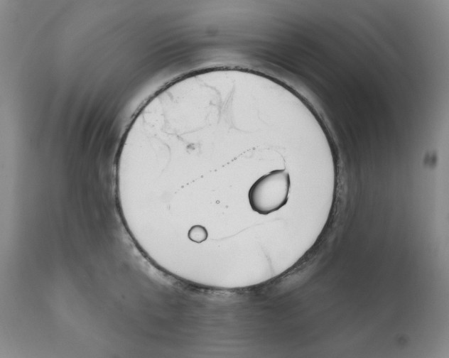 X0000112020807200908241513