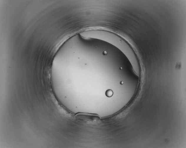 X0000112020809200908241513