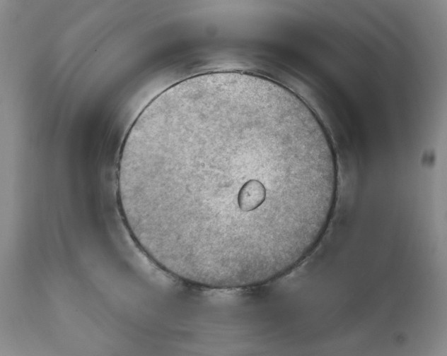 X0000112020810200908241513