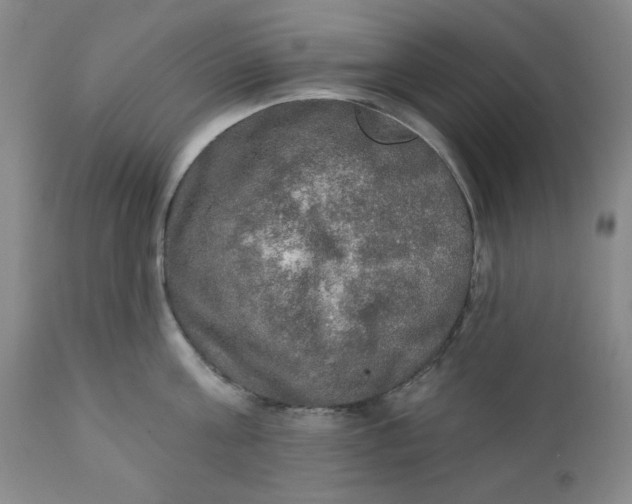 X0000112020811200908241513