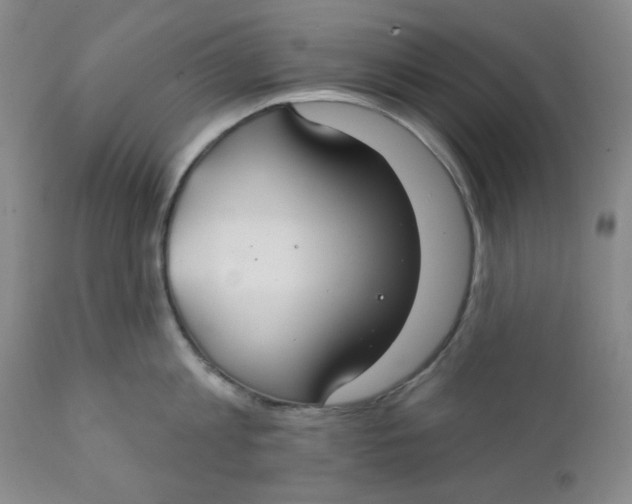 X0000112020813200908241513