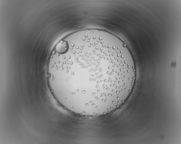 X0000112020814200908241513