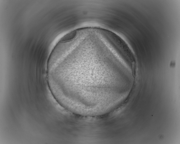 X0000112020815200908241513