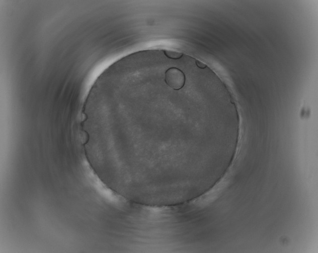 X0000112020816200908241513