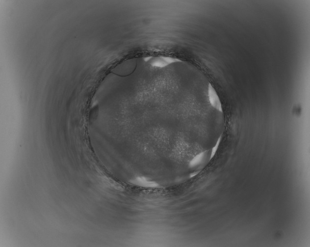 X0000112020817200908241512