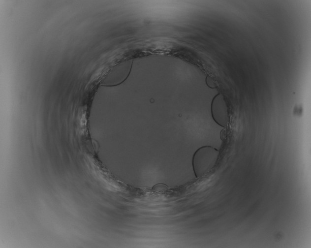 X0000112020818200908241512