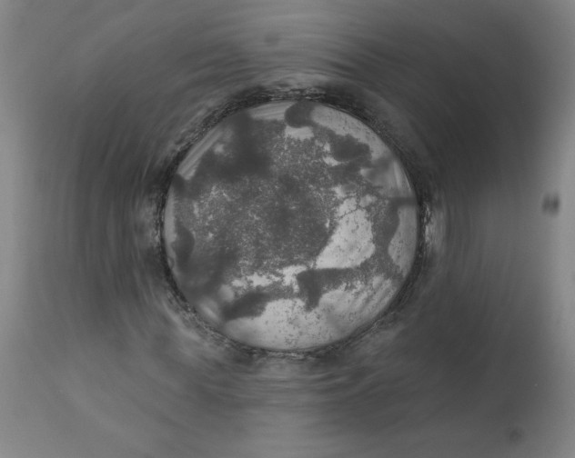 X0000112020819200908241513