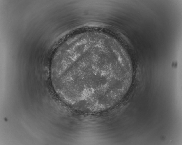 X0000112020821200908241513