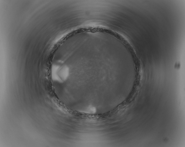 X0000112020823200908241513