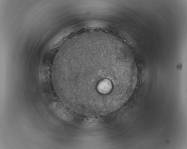 X0000112020824200908241513