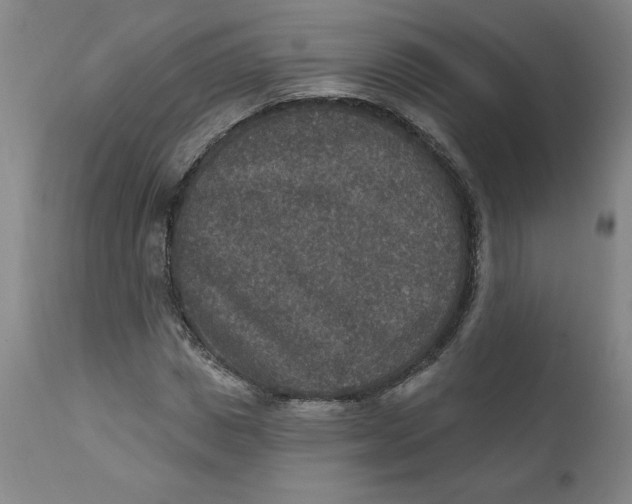 X0000112020825200908241513