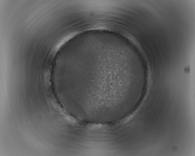 X0000112020826200908241513