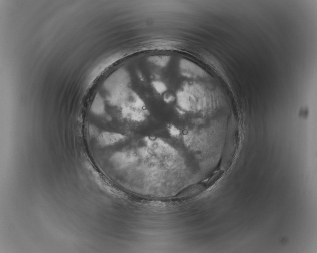 X0000112020827200908241513