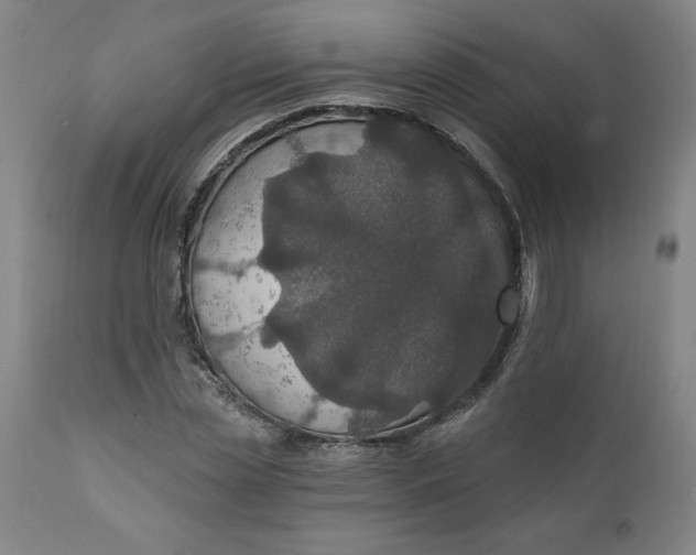 X0000112020829200908241513