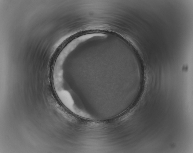 X0000112020830200908241513