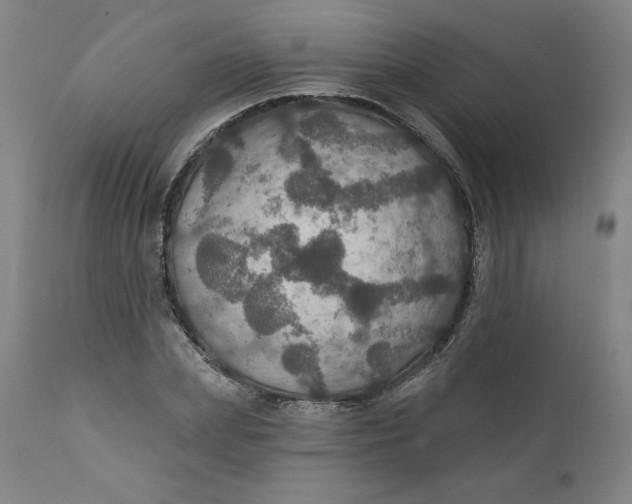 X0000112020831200908241513