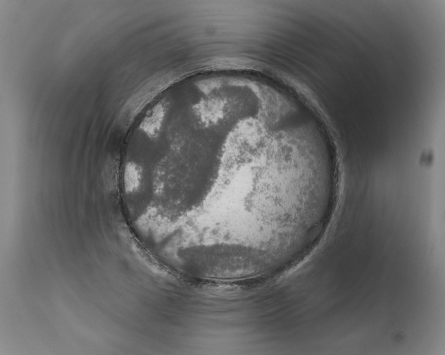 X0000112020833200908241513