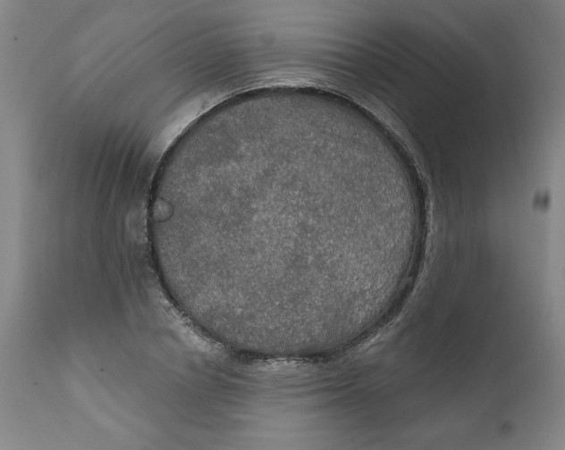 X0000112020834200908241513