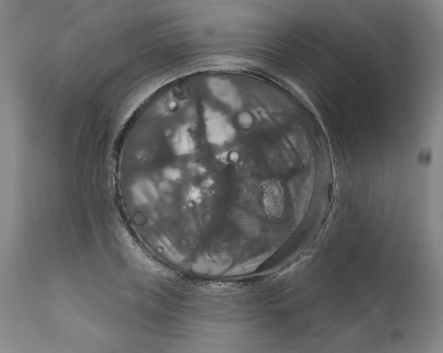 X0000112020835200908241513