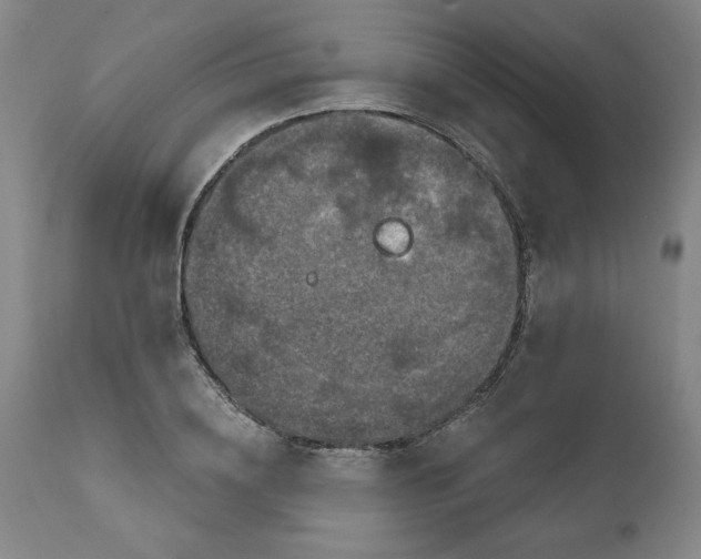 X0000112020836200908241513