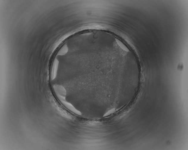 X0000112020837200908241513