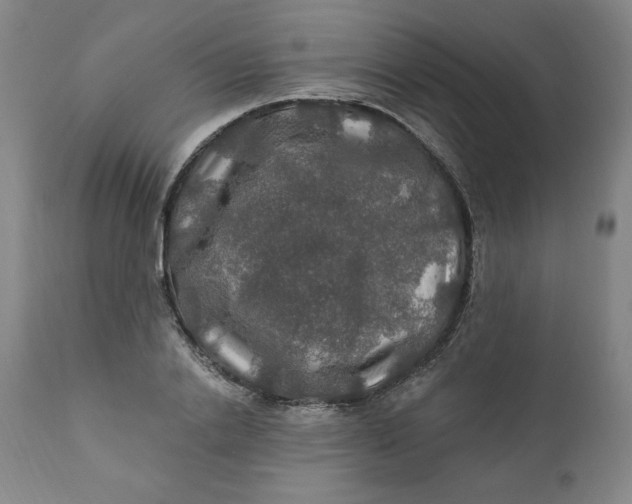 X0000112020838200908241513