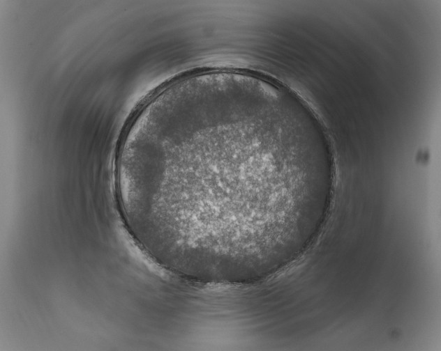 X0000112020840200908241513