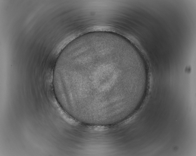 X0000112020841200908241513