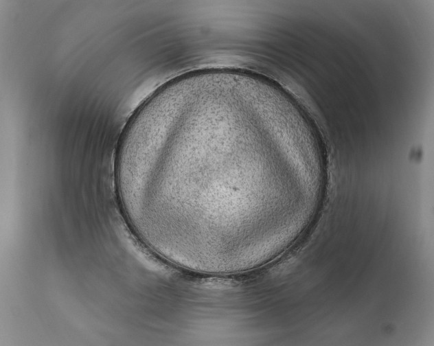 X0000112020842200908241513