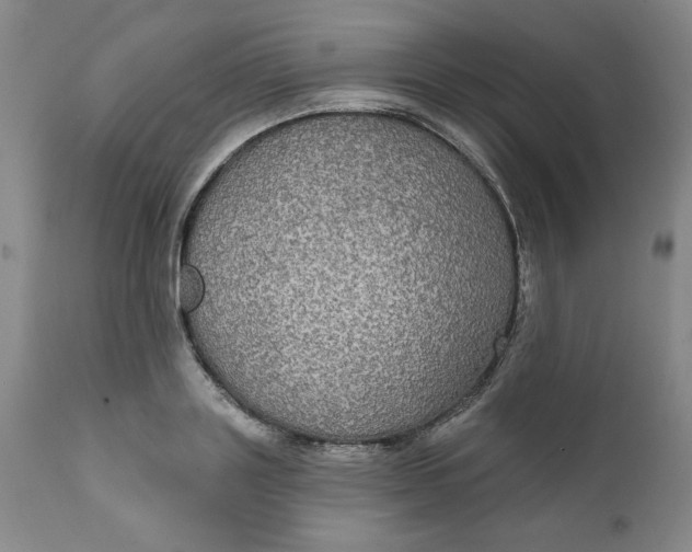 X0000112020843200908241513