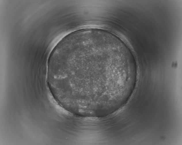 X0000112020844200908241513