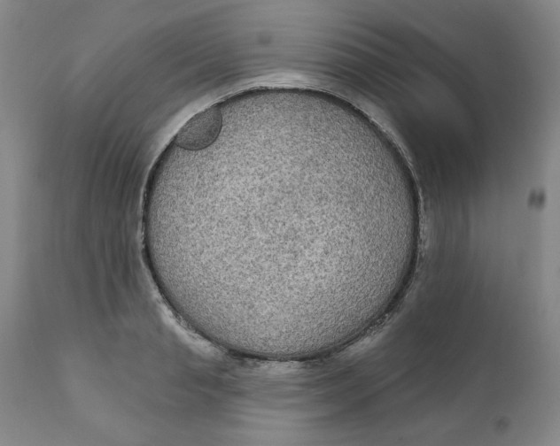 X0000112020845200908241513