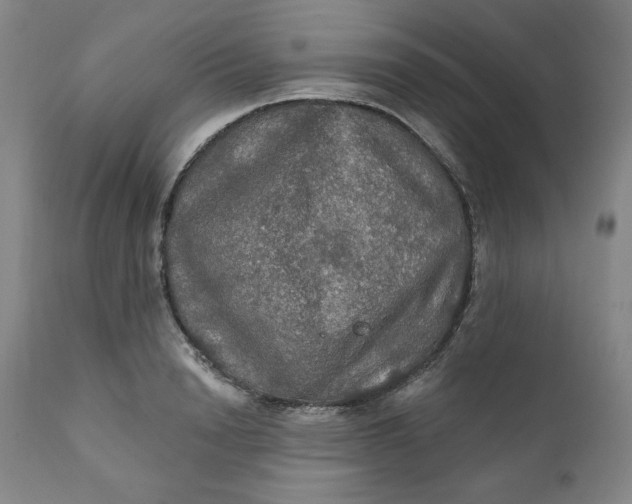 X0000112020846200908241513