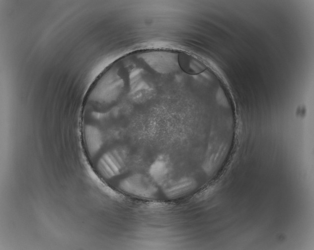 X0000112020847200908241513