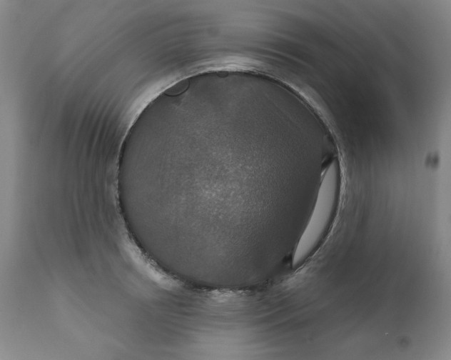 X0000112020850200908241513