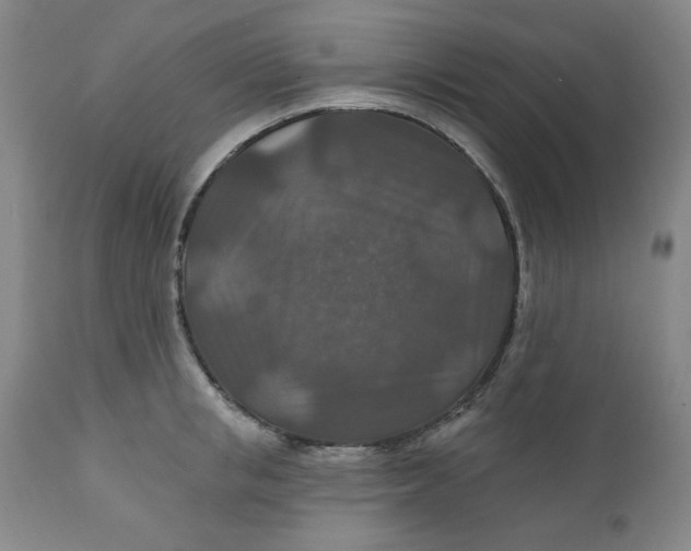 X0000112020853200908241513