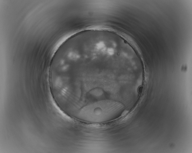 X0000112020855200908241513