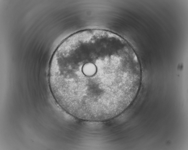 X0000112020856200908241513