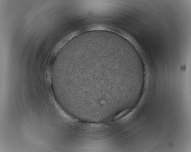 X0000112020857200908241513