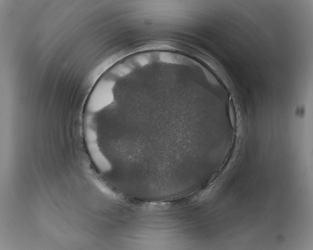 X0000112020858200908241513