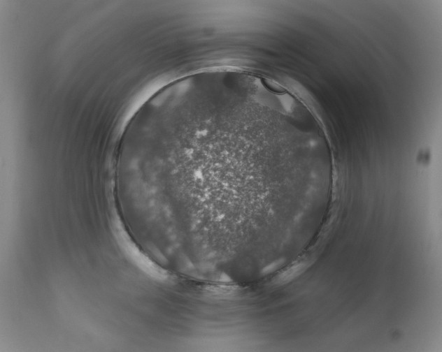 X0000112020859200908241513