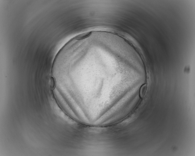 X0000112020860200908241513