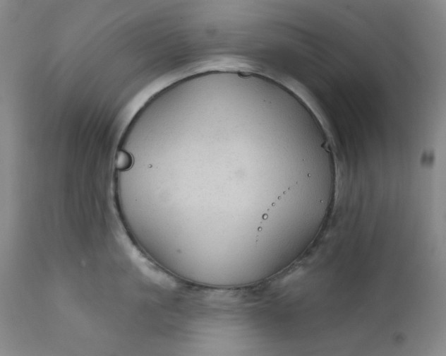 X0000112020861200908241513