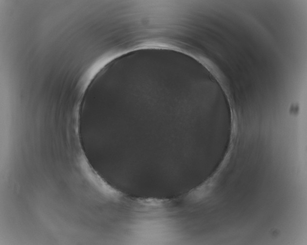 X0000112020862200908241513